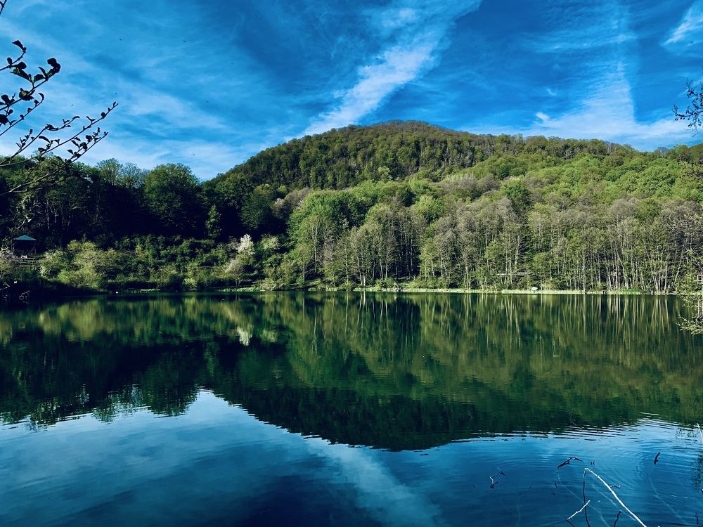 Photograph by Елизавета Осеева