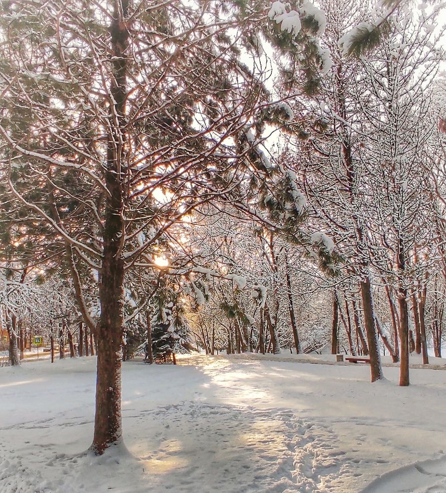 Photograph by Екатерина Ефимова