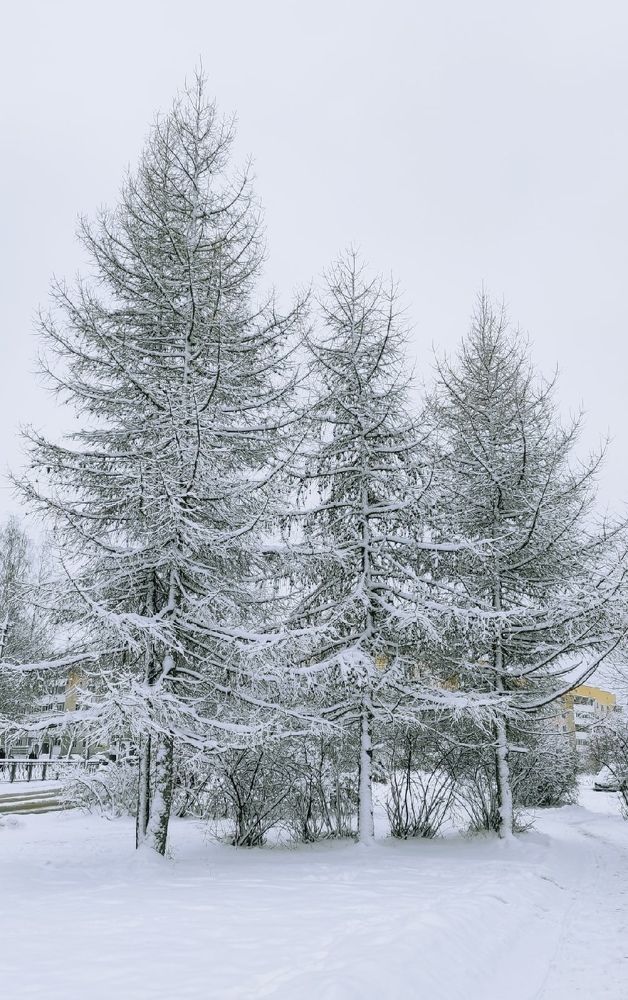 Photograph by Екатерина Ефимова