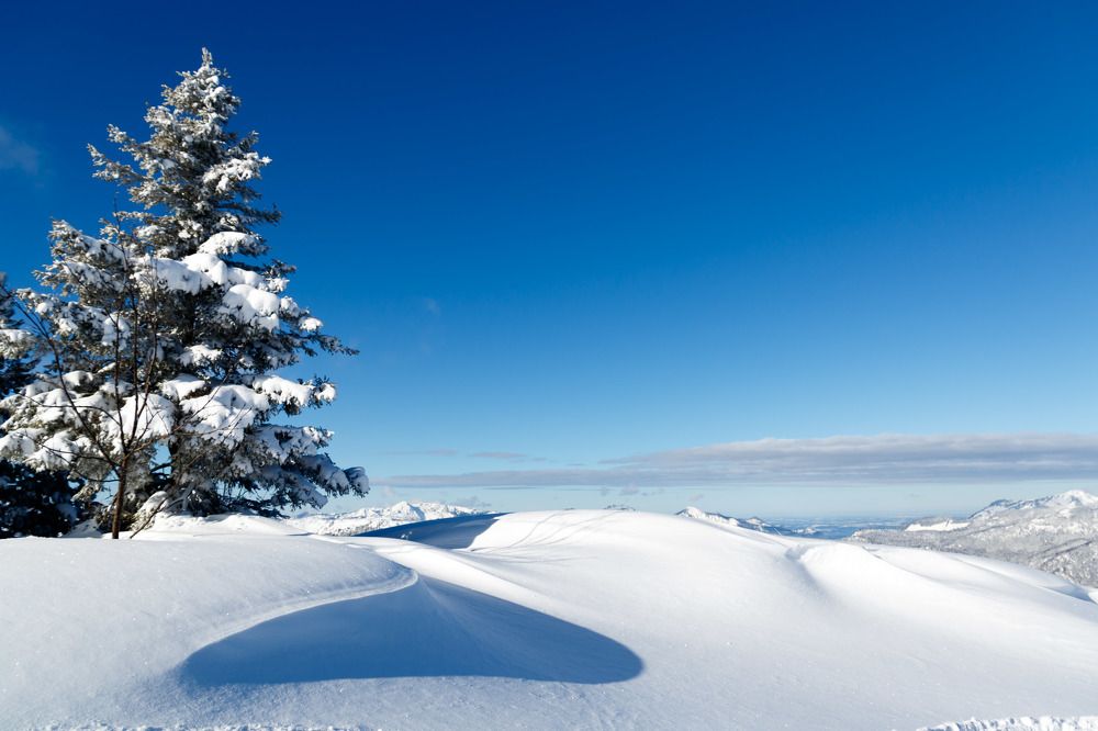 Photograph by Max. Assenbrunner