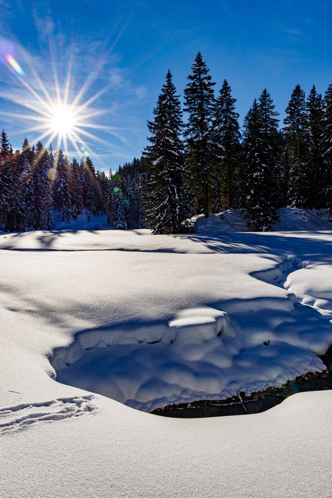 Photograph by Max. Assenbrunner