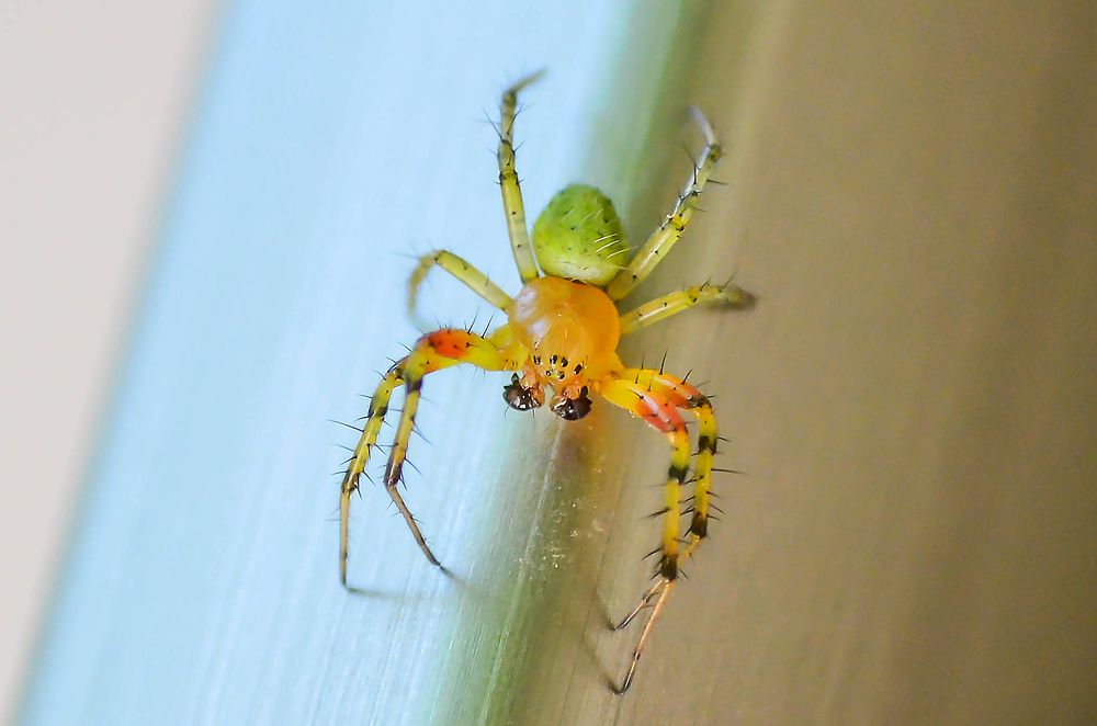 Photograph by Sahar Jafari