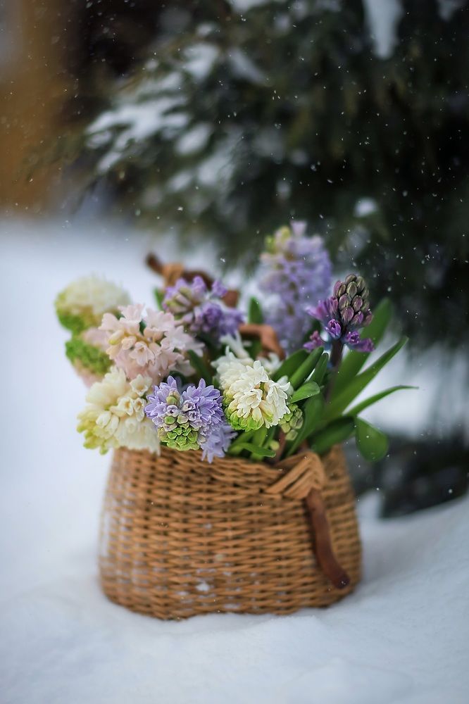 Photograph by Татьяна Кытина