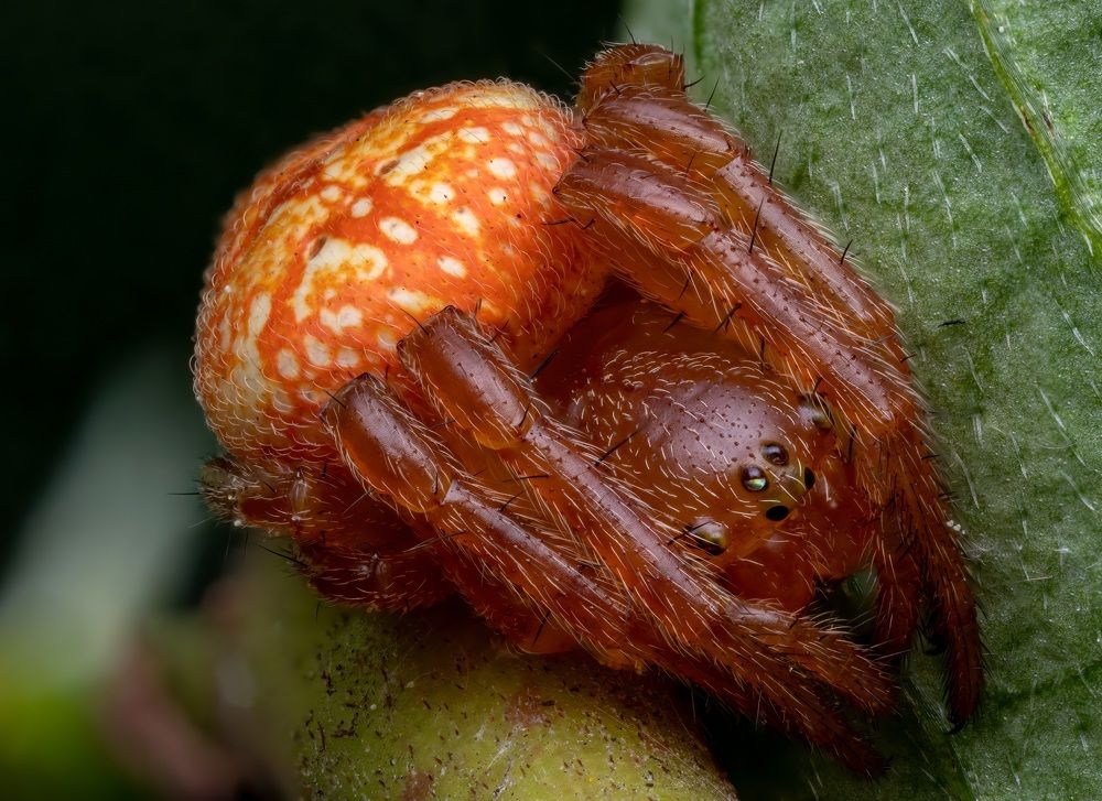 Photograph by Глеб Коровко