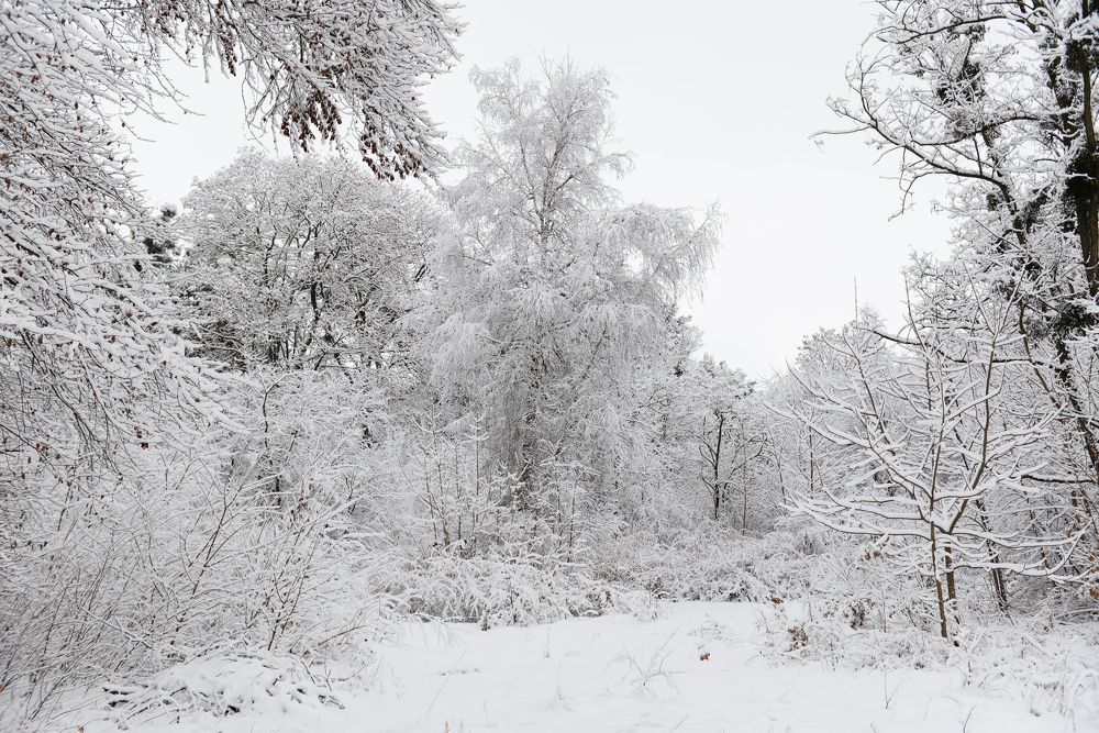 Photograph by Liudmyla