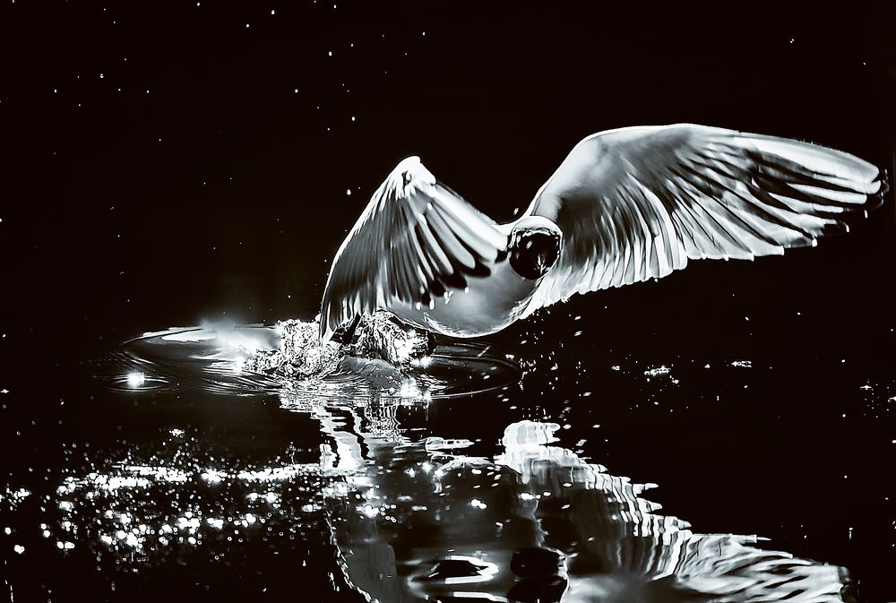 Полёт над водой.