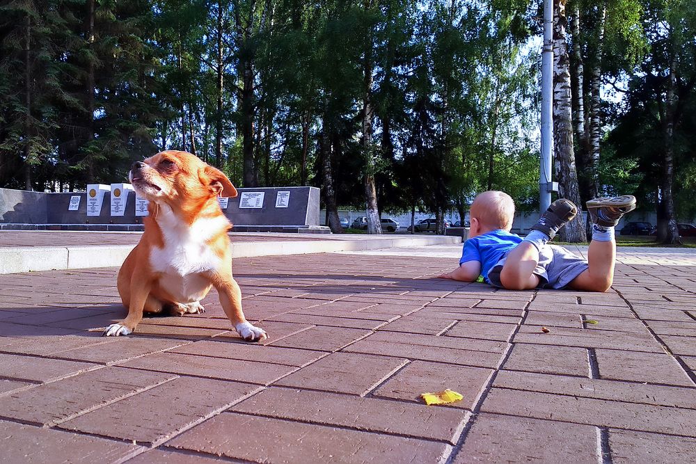 Photograph by Николай Феофанов