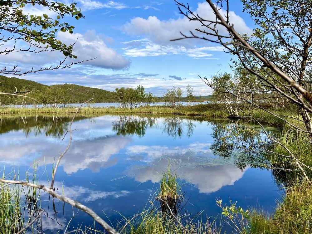 Фотография автора Юлия Шумейко