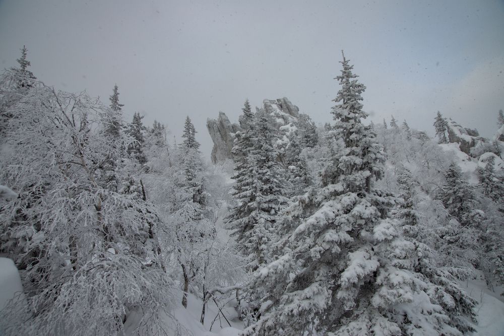 Photograph by  Дмитрий