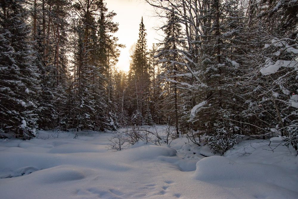 Photograph by  Дмитрий