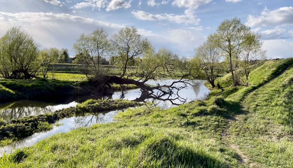 Фотография автора Юлия Шумейко