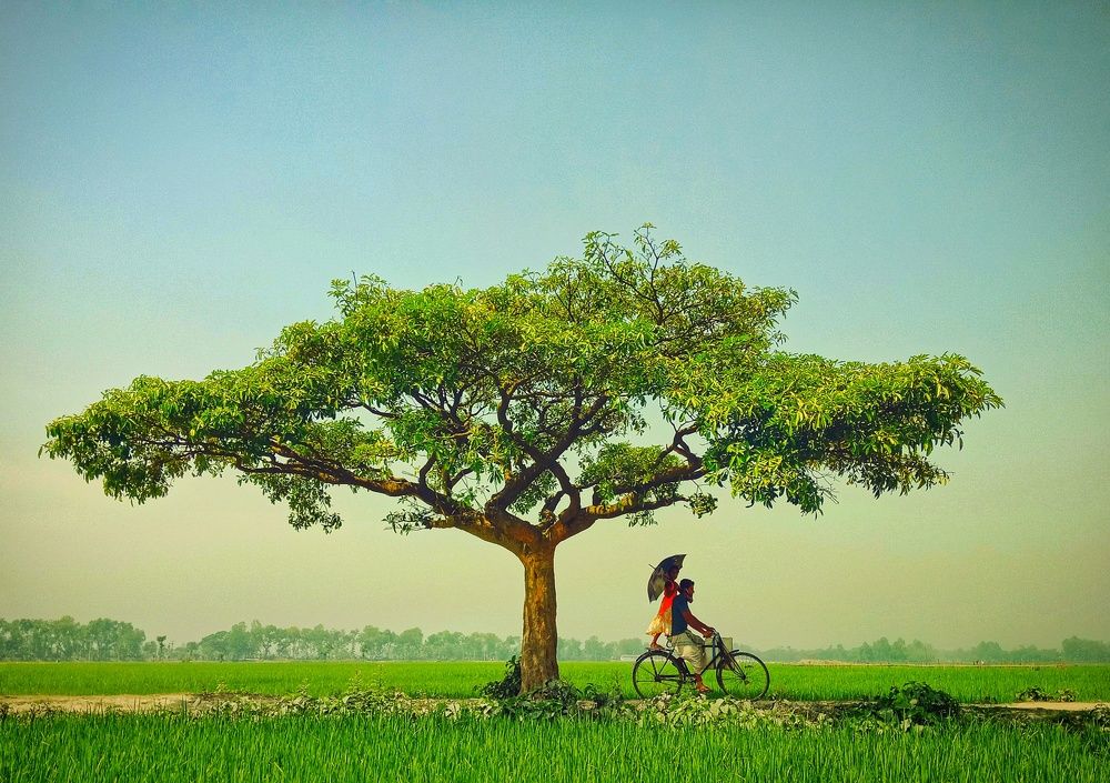 Photograph by islam Rashedul