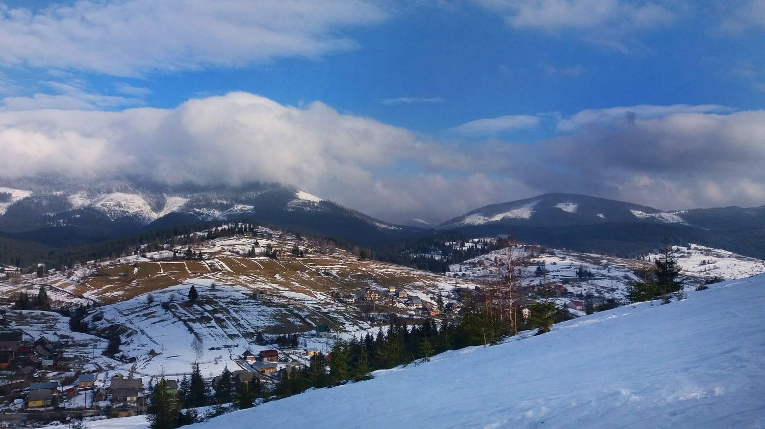 Photo #7056548