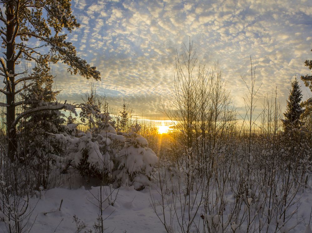 Photograph by Вячеслав Булатов