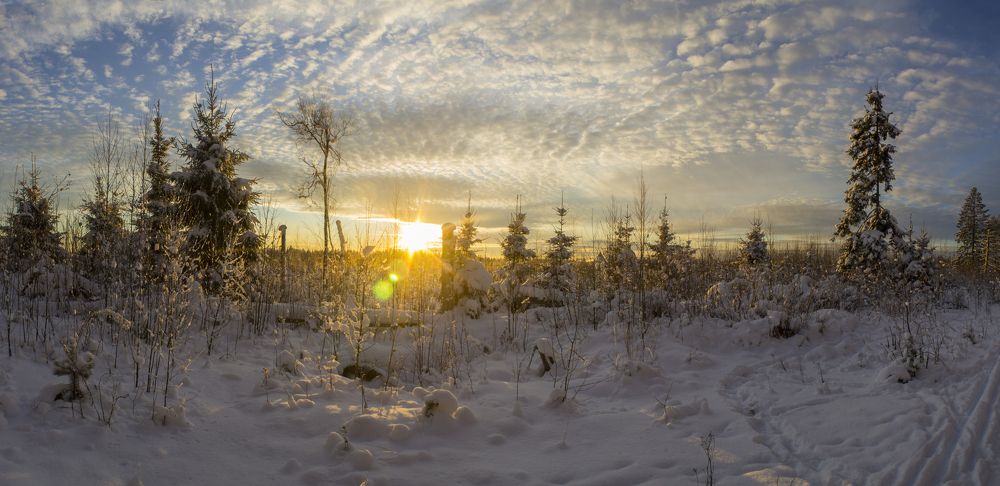 Photograph by Вячеслав Булатов