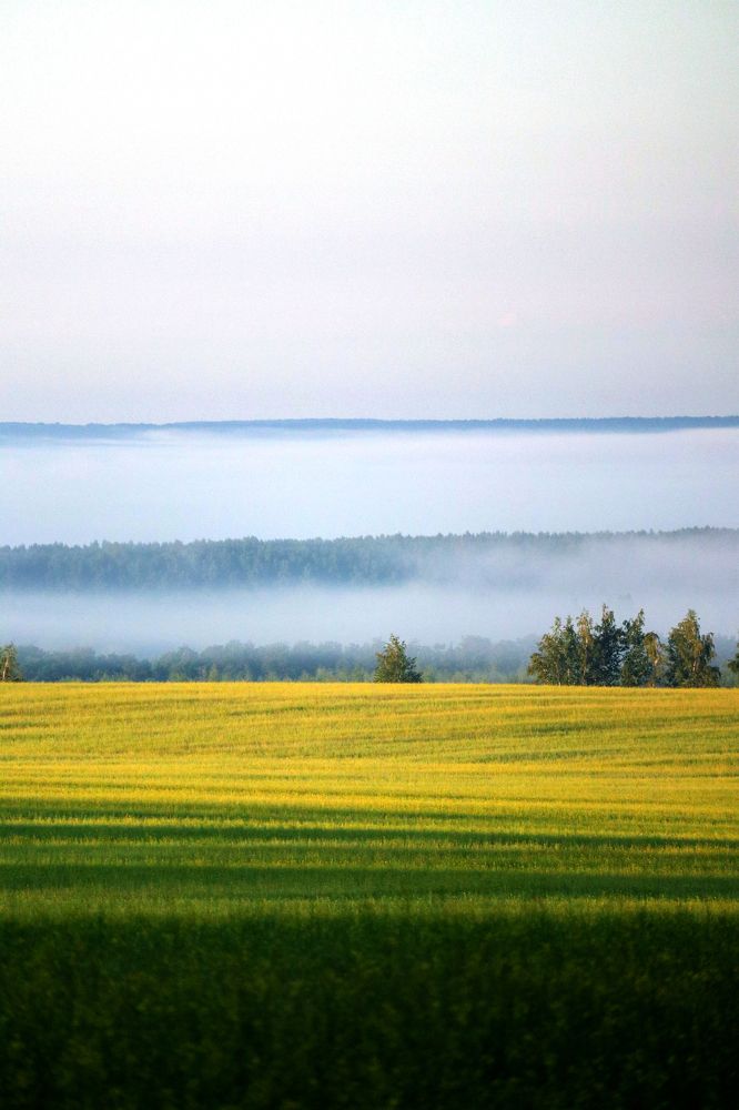 Photograph by Сергей Конюшенко