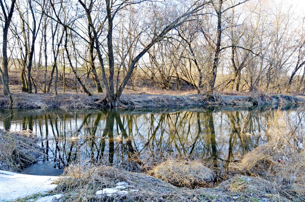 Photograph by Marija Stanislavich