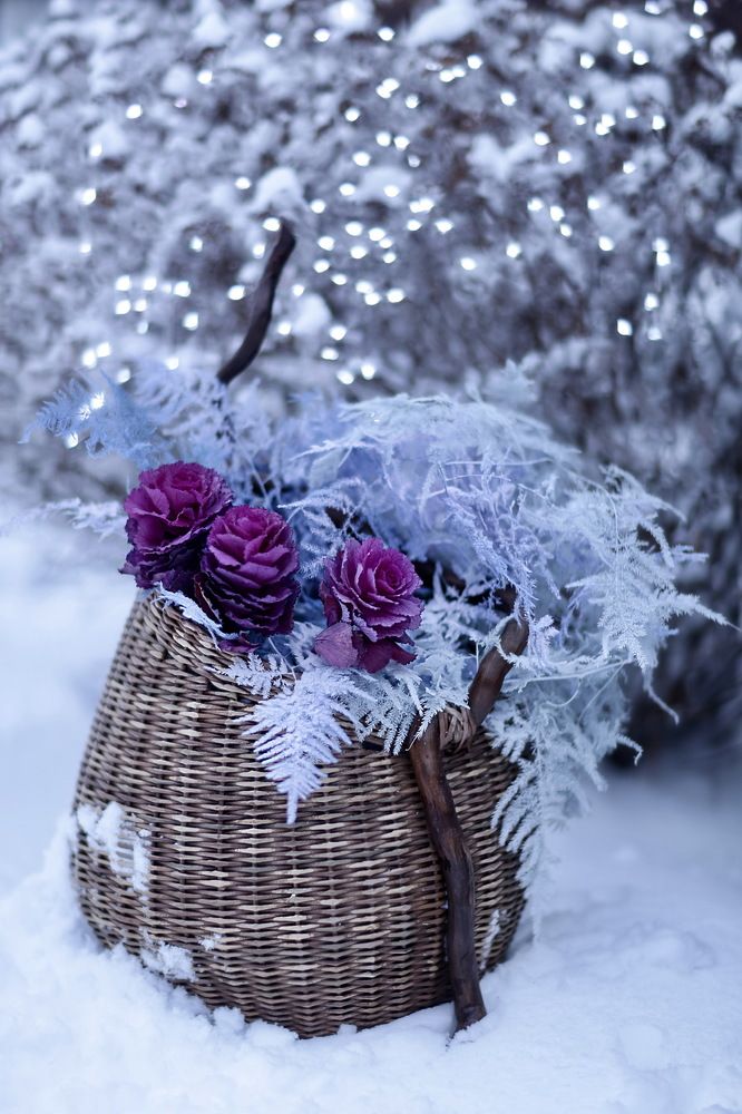 Photograph by Татьяна Кытина