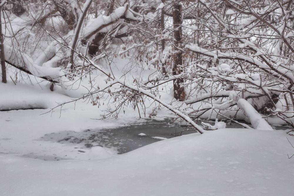 Photograph by Светлана Болотнова