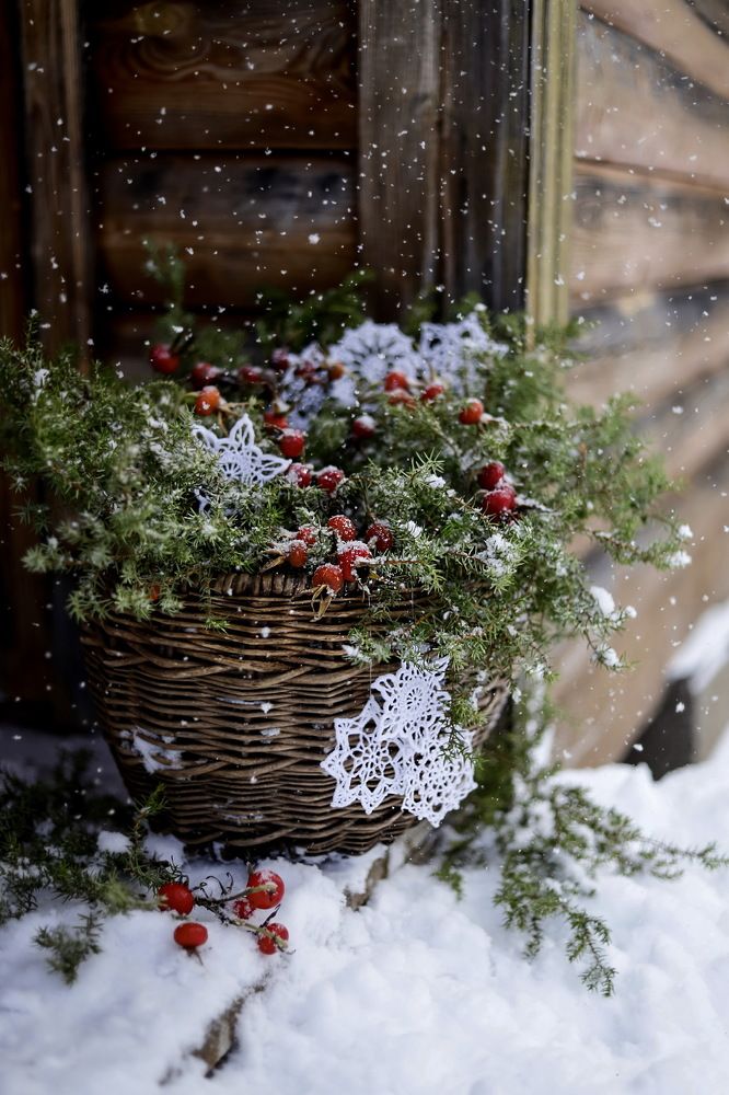 Photograph by Татьяна Кытина