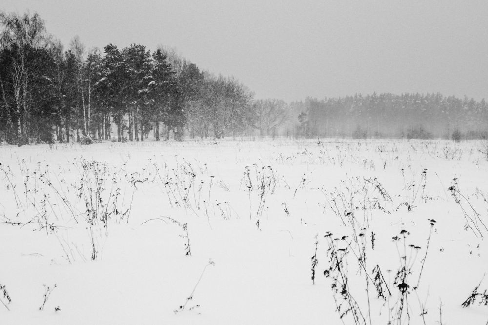 Russian Countryside. Winter mood