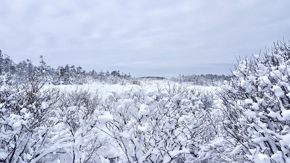 Photograph by Delphine Gazel