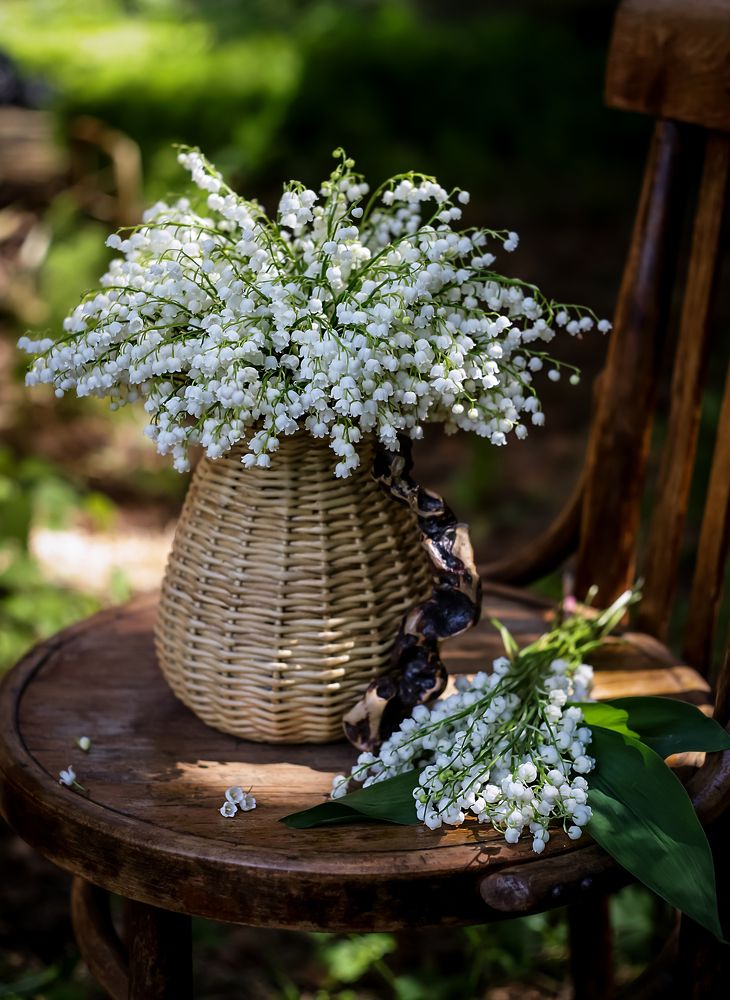 Photograph by Татьяна Кытина