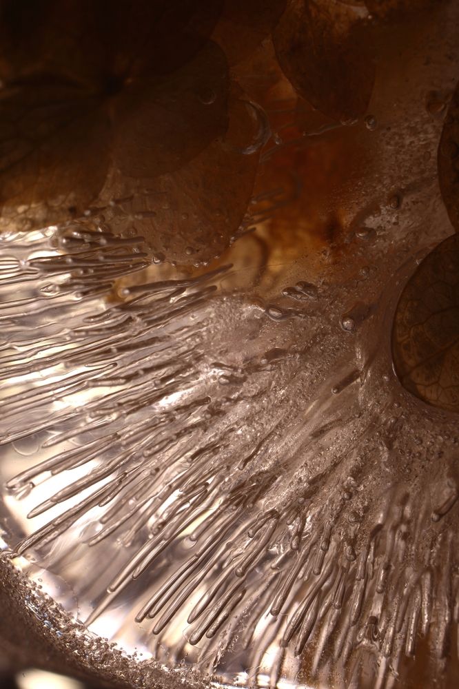 Photograph by Milla Luca