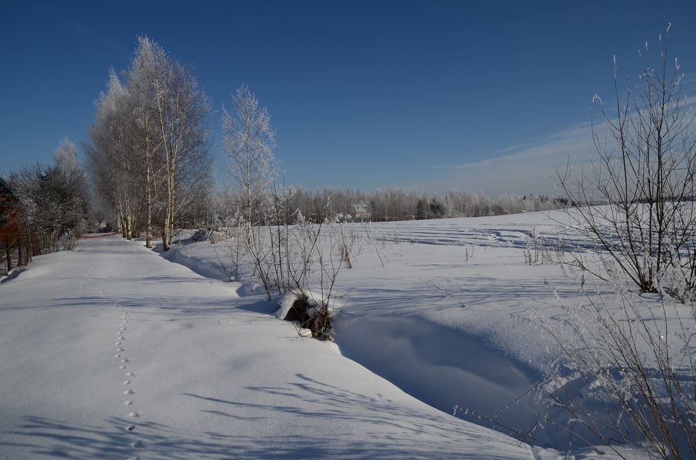 Photograph by Оксана Давыдова