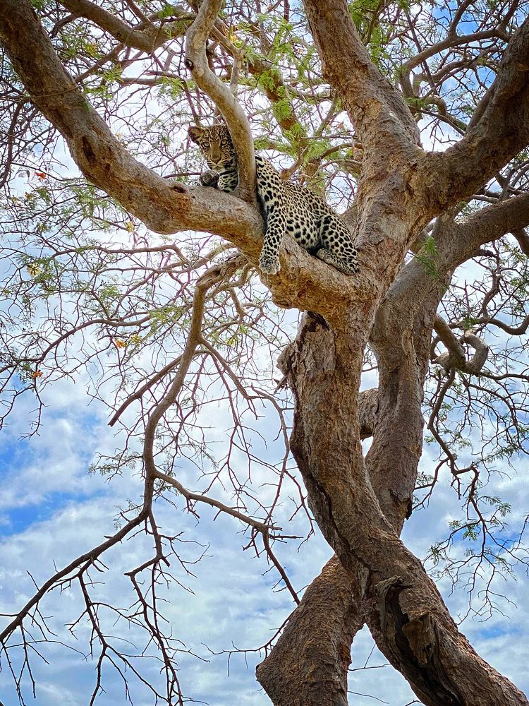 Photograph by Ирина Худзинская