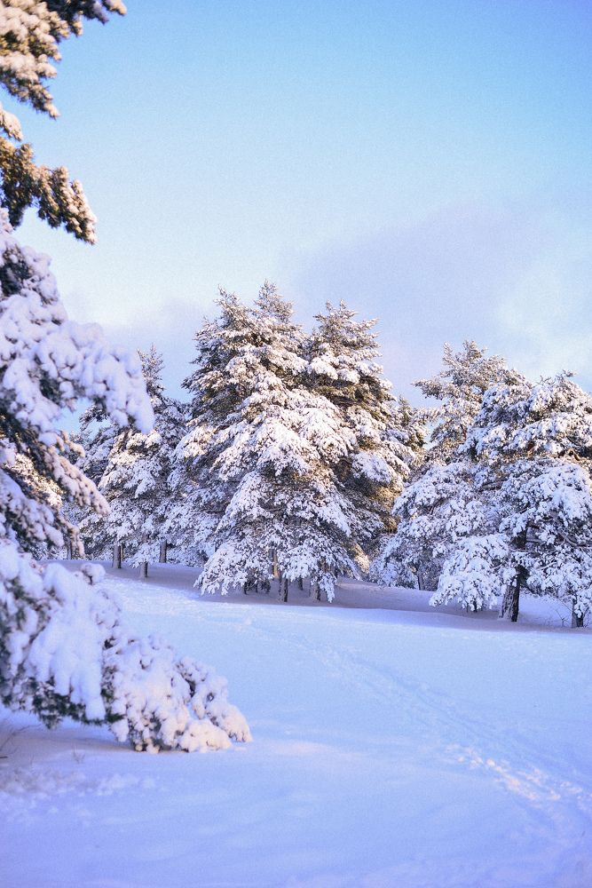 Photograph by Liana Lauta