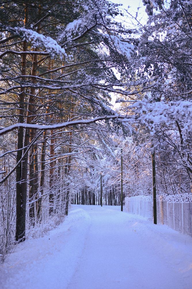 Photograph by Liana Lauta