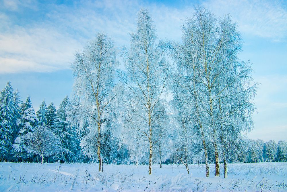 Photograph by Александр Трошин