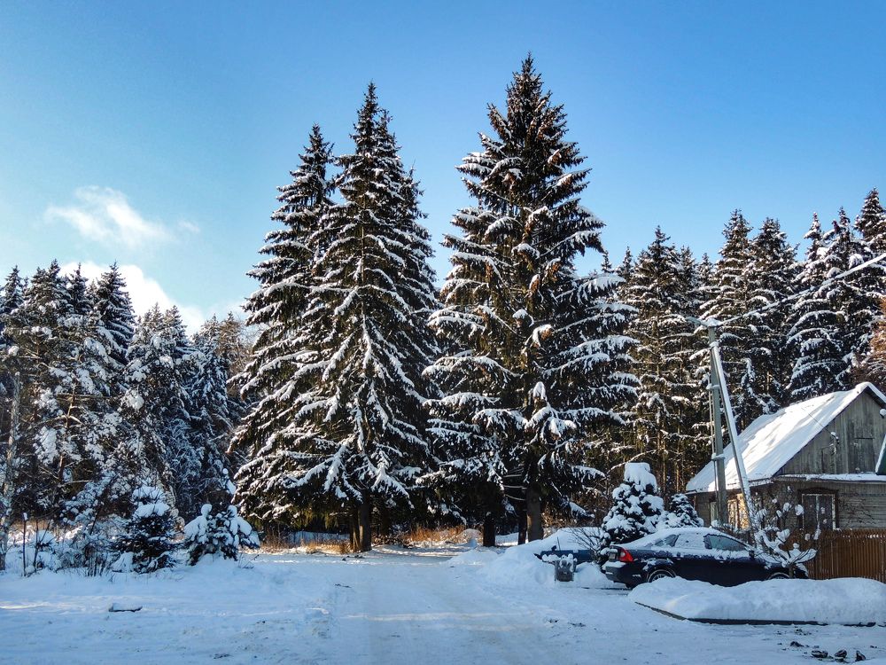 Photograph by Светлана Беспалко