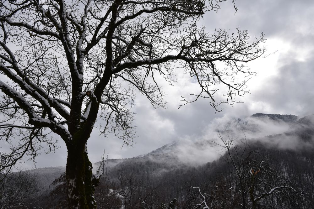 Photograph by Галина Баранова