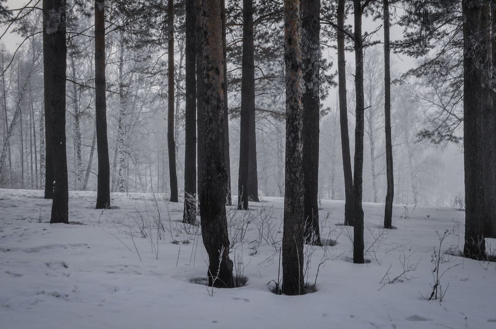 Photograph by Дарья Торопова