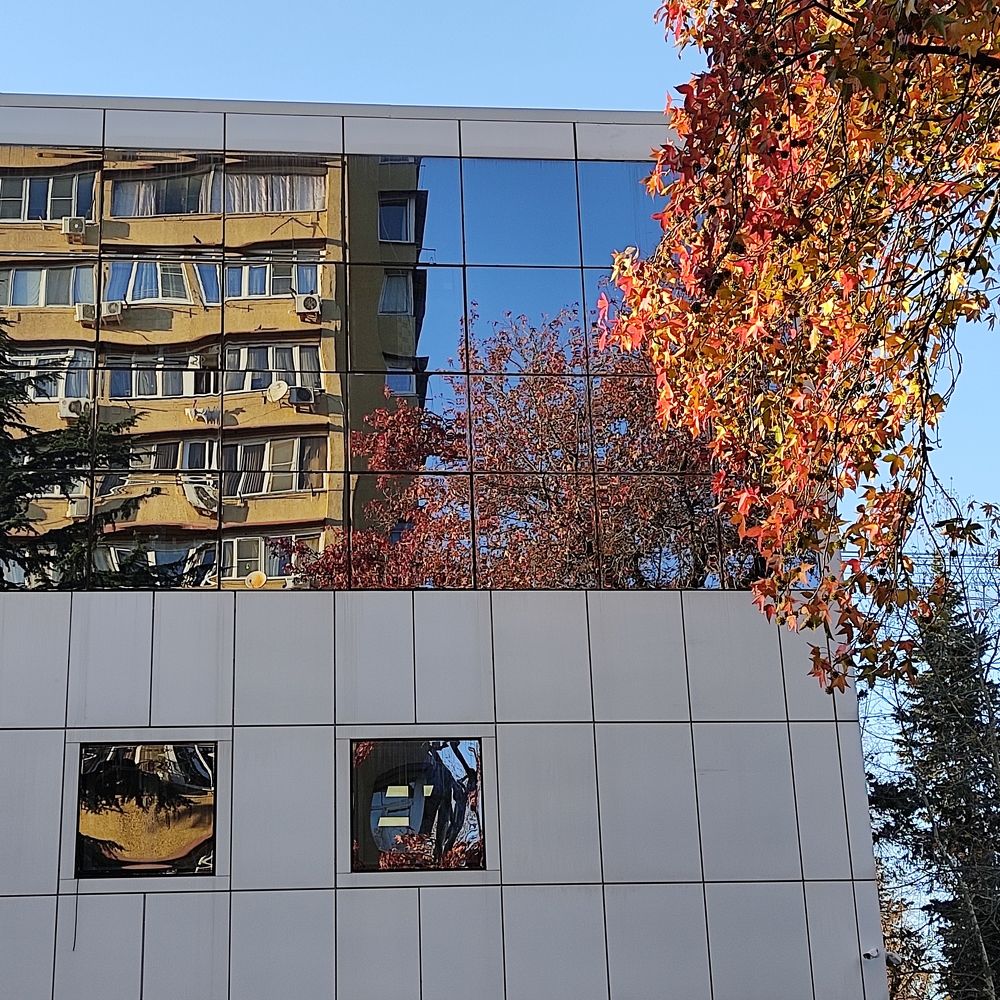 Фотография автора лилия беланова