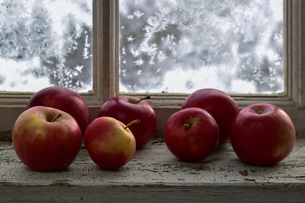 Фотография автора Татьяна Чугунова