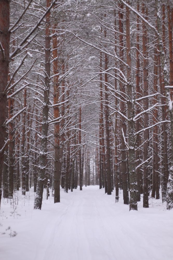 Photograph by Елена Квасова