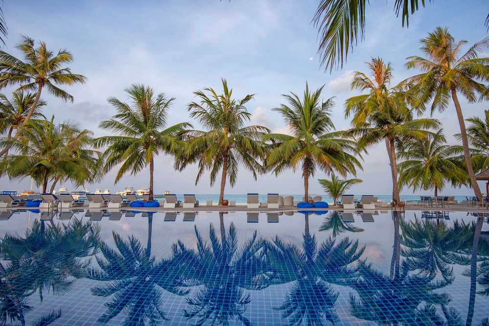 Photograph by Elena Gebert