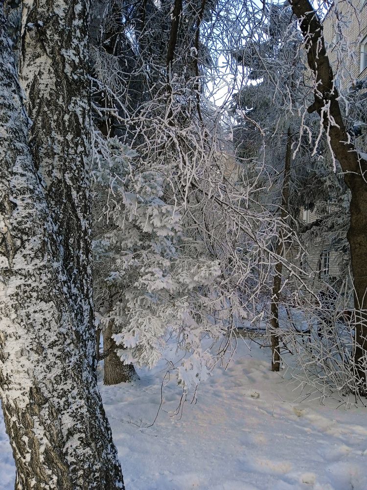 Photograph by Нина Мехнина