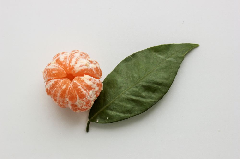 Photograph by Liudmila Pilets