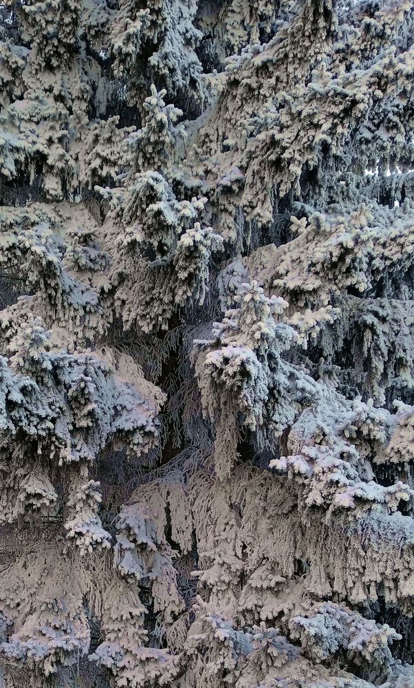 Photograph by Нина Мехнина