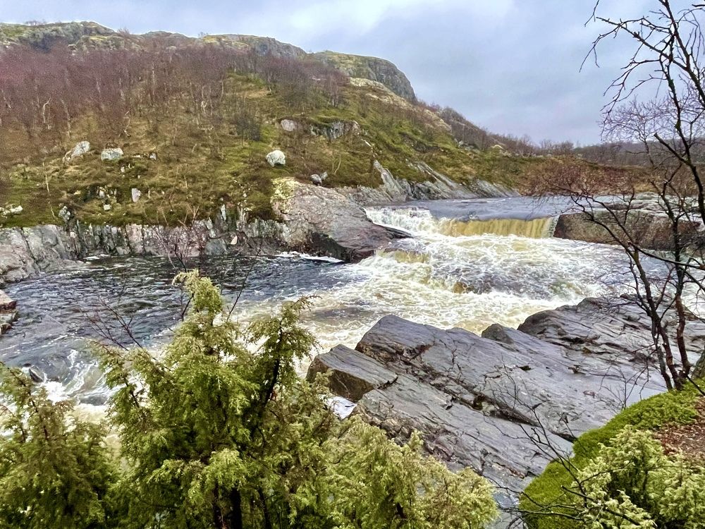 Фотография автора Юлия Шумейко