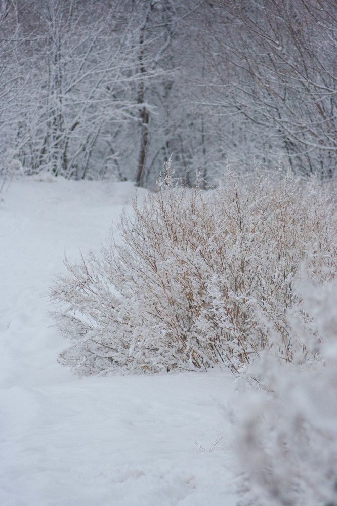 Photograph by Климова Анна