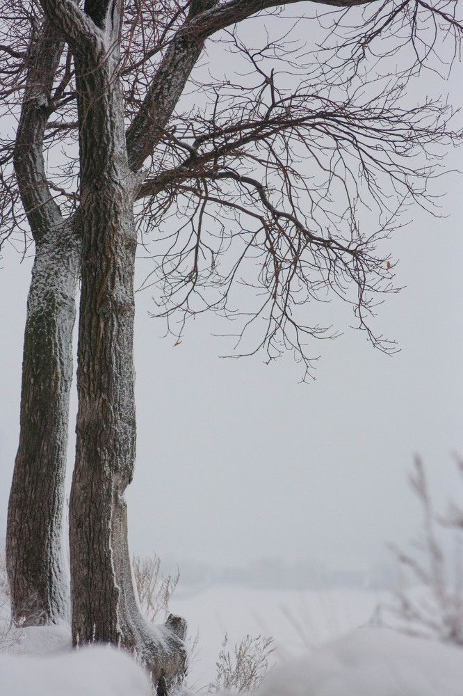 Photograph by Климова Анна