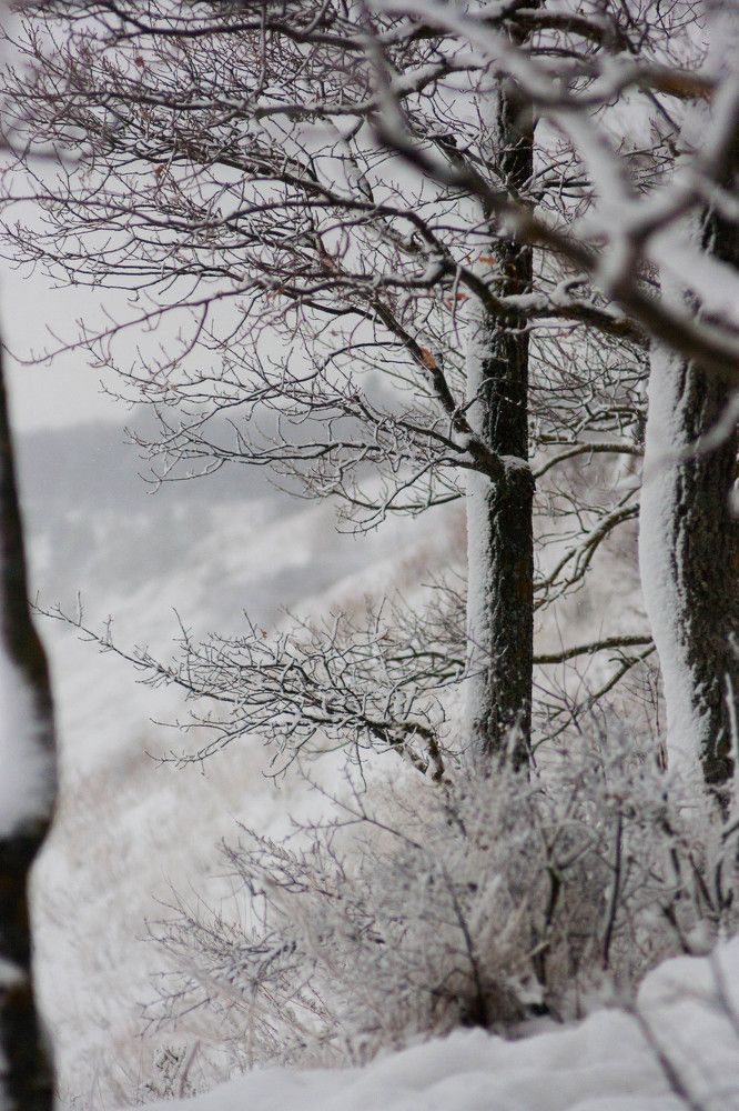 Photograph by Климова Анна