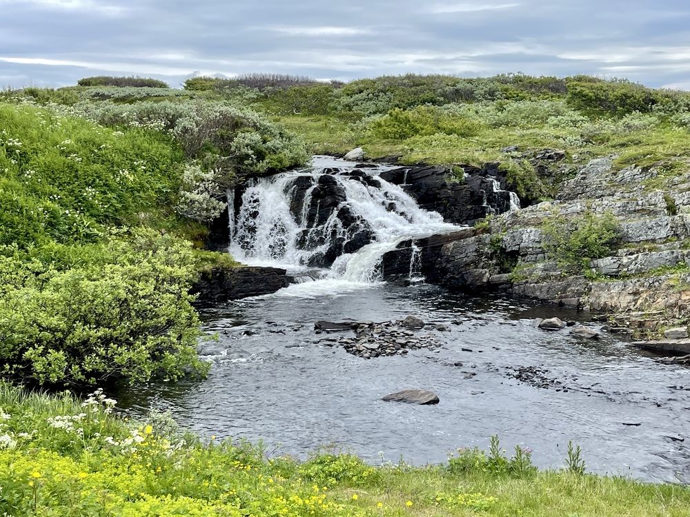 Фотография автора Юлия Шумейко