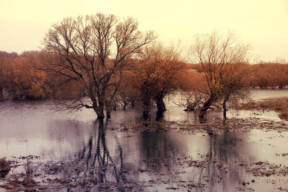 Photograph by Svetlana Victorovna Kibyakova