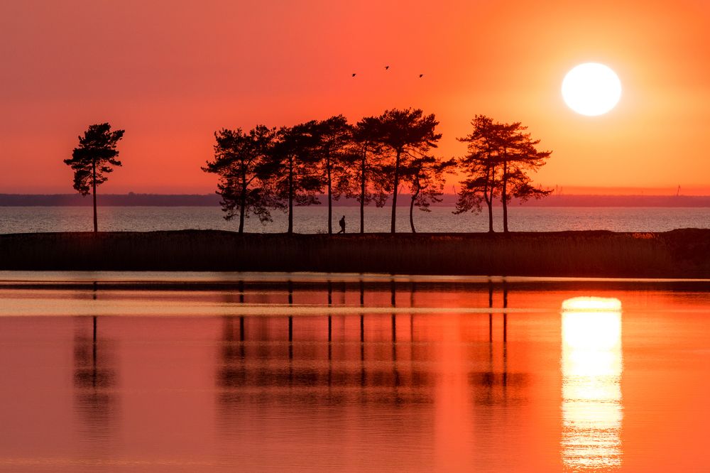 Photograph by Наталья Брюхненко